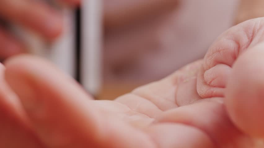 Ashwagandha Indian Ginseng Powder in White Bowl isolated on white background, superfood close up. 