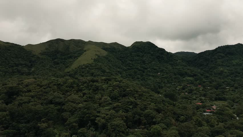 A lush green forest with a mountain range in the background. The sky is cloudy, giving the scene a moody and serene atmosphere. The forest is dense and full of trees, creating a sense of depth