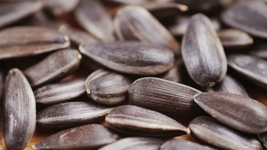 Gray sunflower seeds. Top view. Background, texture