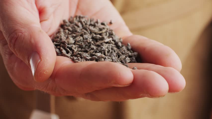 Green dried gunpowder chinese tea leaves with scoop on white wooden background, closeup.