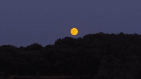 A brilliant golden full moon glows in the deep blue twilight sky, rising over the dark silhouette of a dense forest hill. Close-up telephoto shot of a serene, magical moonrise - Powered by Shutterstock - Get 15% off with code: PIKWIZARD15