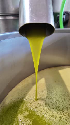 Fresh olive oil production process pouring from spout