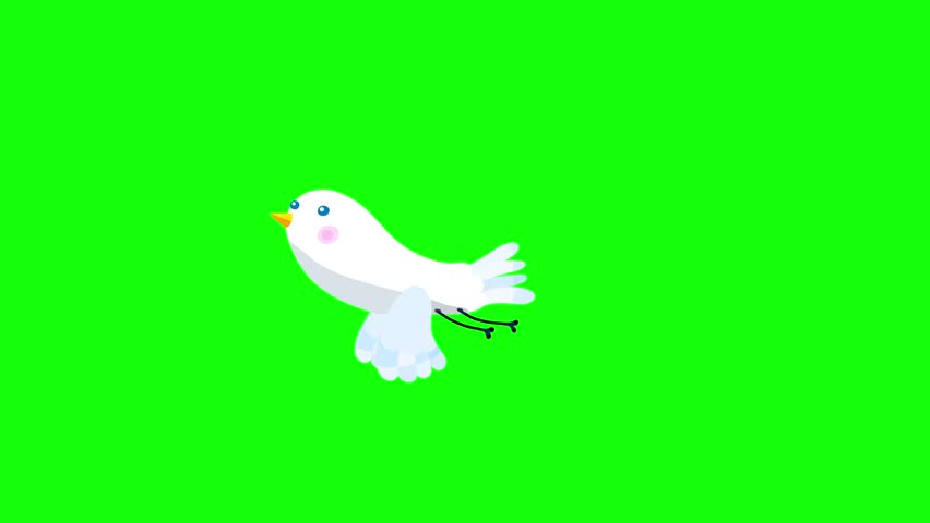 Ousel bird white flight stop greenbox. Cute cartoon animation character animal moves behaviour will bring to life any scene.