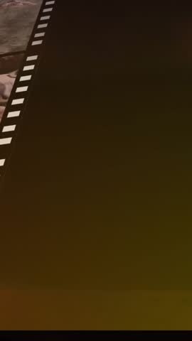 Animation of multiple wild animal in film reel over spinning roll against cloudy sky. Digital composite, multiple exposure, filming, entertainment, movie, nature and technology concept.