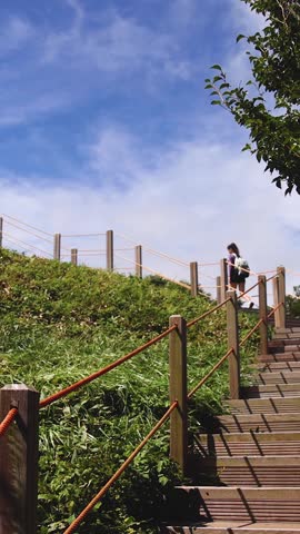Hallasan National Park, Jeju island, South Korea, vibrant view of trail with a wooden ladder path stairs, trekking and climbing, stairway to Halla mountain summit, hiking in Korea, Jeju-do, sunny day