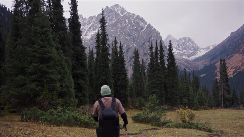 Man Hiking with Trekking Poles in Mountain Forest