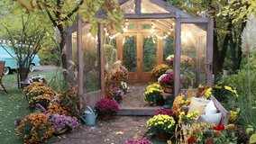 Interior of a wooden illuminated greenhouse with bench, plants and chrysanthemums flowers in pots at backyard. Cozy patio in autumn garden. Exterior glasshouse with gardening tools and bench. - Powered by Shutterstock - Get 15% off with code: PIKWIZARD15