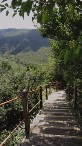 Hallasan National Park, Jeju island, South Korea, vibrant view of trail with a wooden ladder path stairs, trekking and climbing, stairway to Halla mountain summit, hiking in Korea, Jeju-do, sunny day