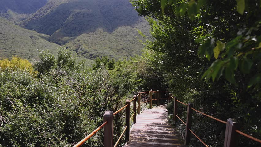Hallasan National Park, Jeju island, South Korea, vibrant view of trail with a wooden ladder path stairs, trekking and climbing, stairway to Halla mountain summit, hiking in Korea, Jeju-do, sunny day
