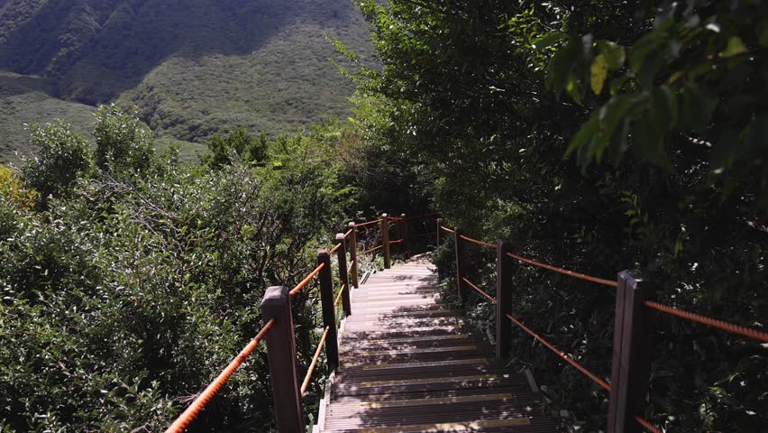 Hallasan National Park, Jeju island, South Korea, vibrant view of trail with a wooden ladder path stairs, trekking and climbing, stairway to Halla mountain summit, hiking in Korea, Jeju-do, sunny day