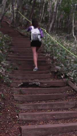 Hallasan National Park, Jeju island, South Korea, vibrant view of trail with a wooden ladder path stairs, trekking and climbing, stairway to Halla mountain summit, hiking in Korea, Jeju-do, sunny day