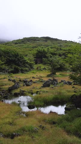 Hallasan National Park, Jeju island, South Korea, vibrant view of trail with a wooden ladder path stairs, trekking and climbing, stairway to Halla mountain summit, hiking in Korea, Jeju-do, sunny day