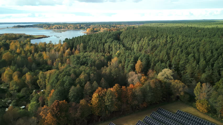 Seaside pine trees with solar panels, Rugged shoreline covered with pine trees and solar power