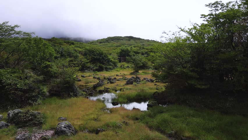 Hallasan National Park, Jeju island, South Korea, vibrant view of trail with a wooden ladder path stairs, trekking and climbing, stairway to Halla mountain summit, hiking in Korea, Jeju-do, sunny day