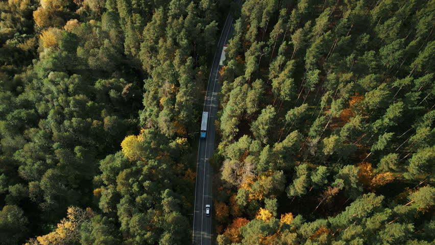 Heavy vehicle navigates forest pathway, Aerial vehicle traverses thick wooded corridor with cargo
