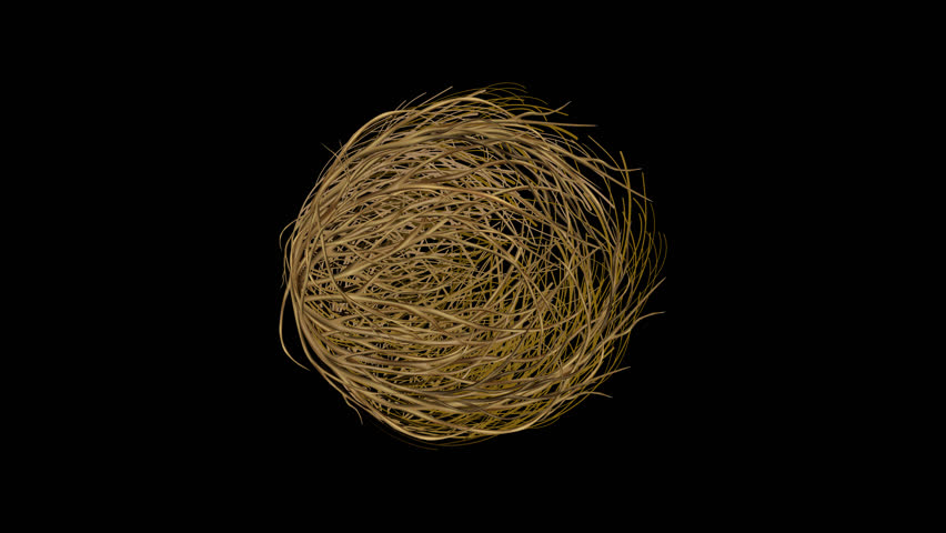 Tumbleweed isolated rotating in center of the screen on alpha background loop animation. Concept of Western, Silence, Desert, Deserted, Empty, Lonely, Dead, Unpopular.