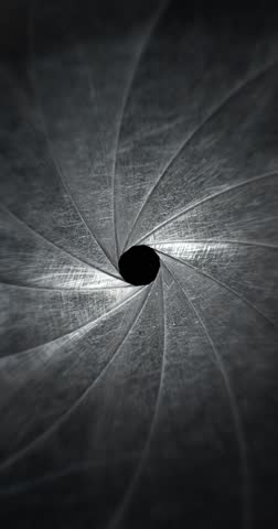 Circular blades of a mechanical iris create a precision opening controlling amount of light entering a camera lens with the opening mechanism controlling the aperture and the depth of field in focus.