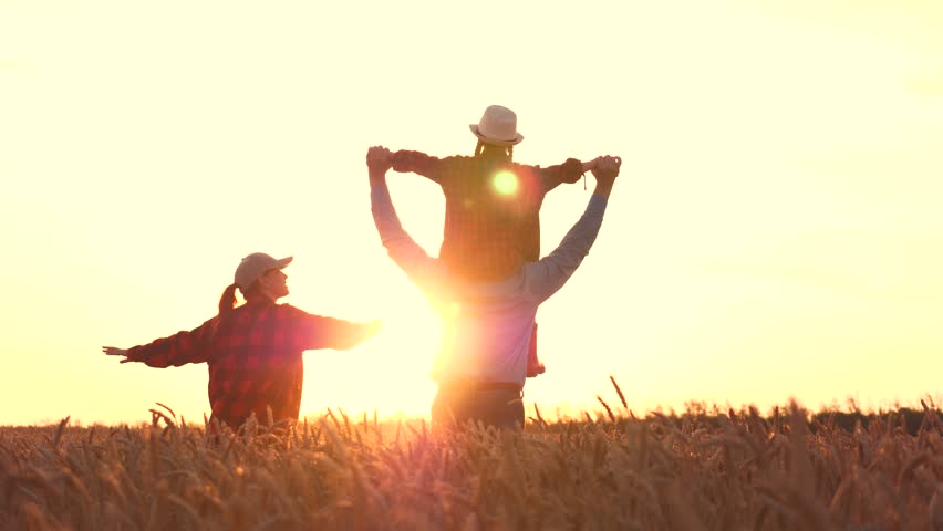 concept happy family. father carries child shoulders. family walk wheat field. Woman, man, child. family walk open air. dream, airplane pilot. My childhood dream fly. Silhouette happy family wheat