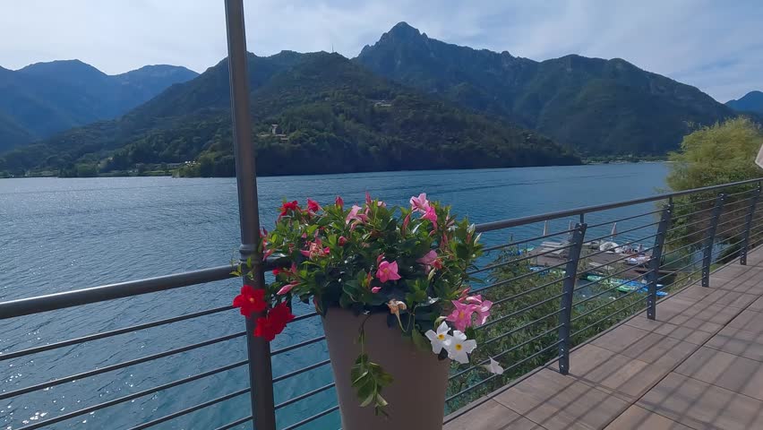 Vibrant flowers in the foreground with the blue waters of Lake Ledro and the surrounding Trentino mountains creating a beautiful summer landscape in northern Italy
