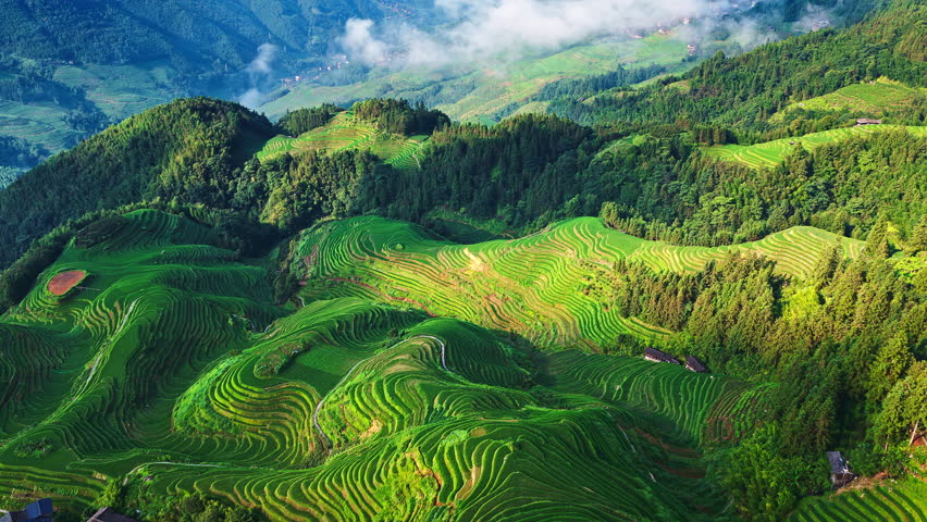 Green terraced fields covering rolling hills with distant mountains.