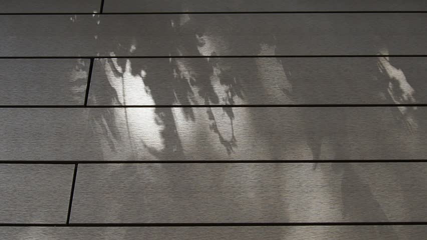 Sunlight With Tree Shadow on Wall, Planting Shadow, Komorebi, Light, Background 