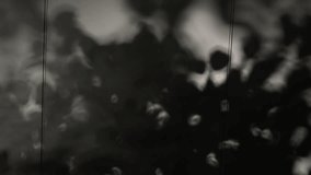 Sunlight With Tree Shadow on Wall, Planting Shadow, Komorebi, Light, Background  - Powered by Shutterstock - Get 15% off with code: PIKWIZARD15