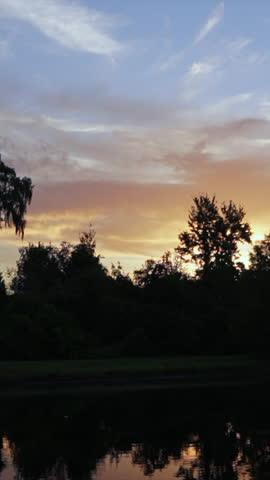Stunning sunset over Orlando, Florida, silhouetting trees against vibrant skies. Reflective water adds calm. Vertical video perfect for mobile and social media stories.