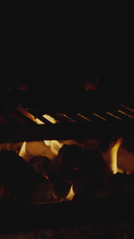 Vertical Slow Motion Charcoal Fire Rack of Lamb