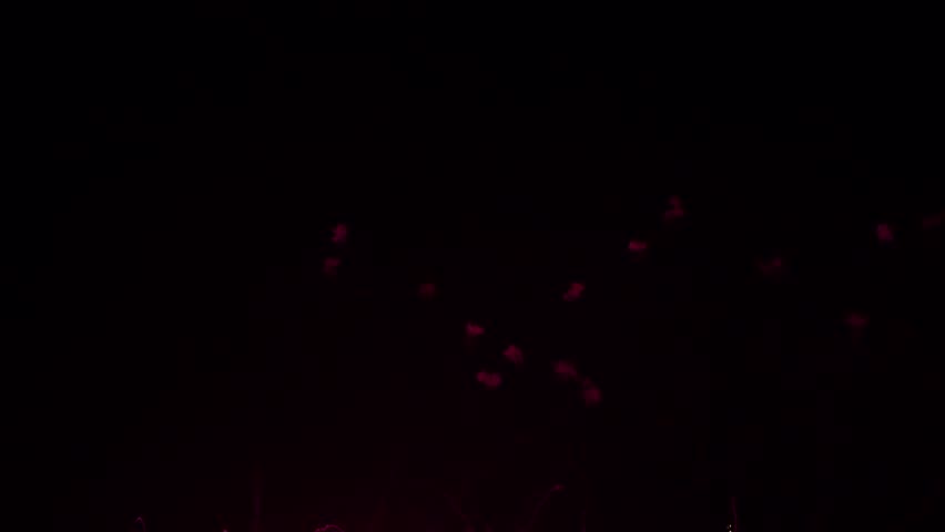 Spectacular Fireworks Ignite the Night Sky, Celebrating the New Year 2026 With Vibrant Colors and Dazzling Displays