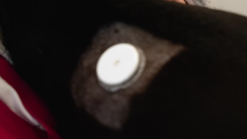 Closeup footage of dog with glucometer