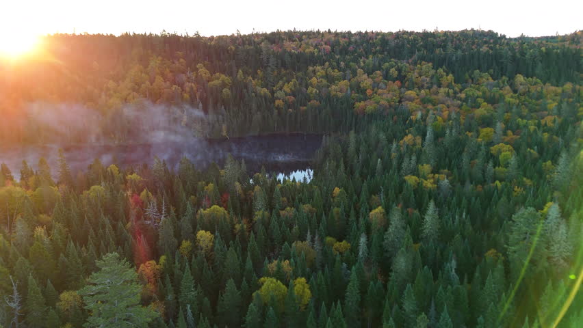 Aerial view of a vibrant autumn forest with lake, river, and mountains at sunrise in Mauricie, Quebec, Canada. Warm light highlights the colorful fall landscape.