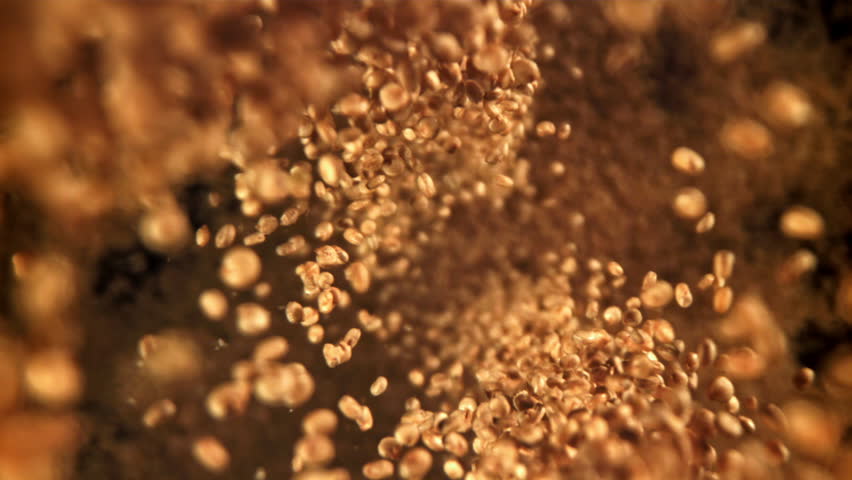 Chia seeds fly and fall down. Filmed on a high-speed camera at 1000 fps. High quality FullHD footage