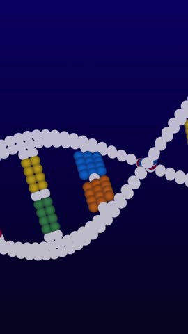 Animation of dna strand over data processing on black background. Global science, computing and digital interface concept digitally generated video.