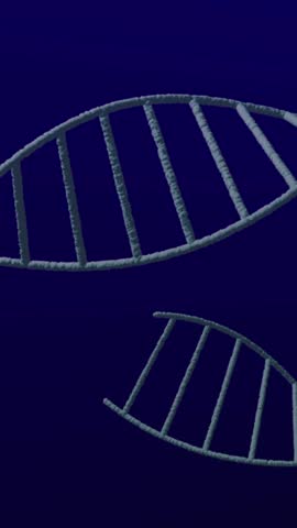 Animation of dna strands over data processing on black background. Global science, computing and digital interface concept digitally generated video.