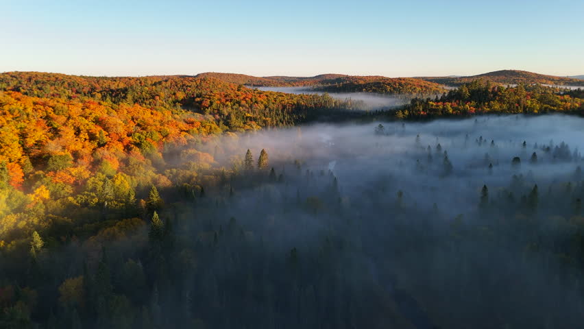 Aerial view of autumn forest and mountains in vivid colors with morning fog in Mauricie, Quebec, Canada. Soft sunlight illuminates the colorful foliage over peaceful wilderness.