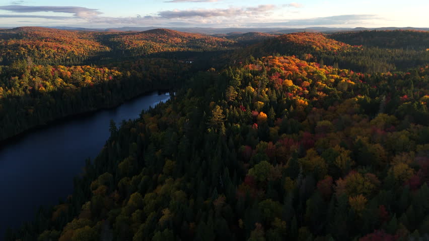 Aerial view of a vibrant autumn forest with lake, river, and mountains at sunrise in Mauricie, Quebec, Canada. Warm light highlights the colorful fall landscape.