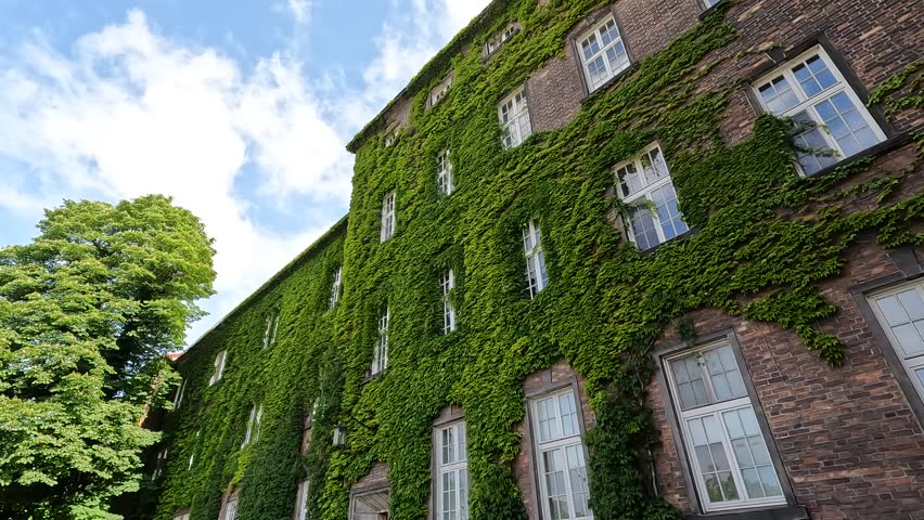 Walking along the path beside an ivy-covered tower at Wawel Castle in Krakow, Poland - green vines, stone walls, and peaceful historic scenery.