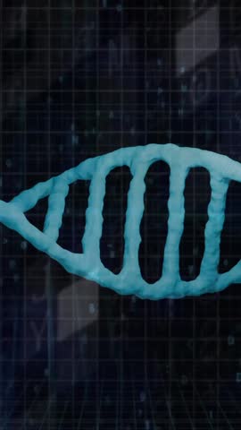 DNA strand and binary coding, scientific data processing animation. Science, technology, genetics, biotechnology, data analysis, bioinformatics