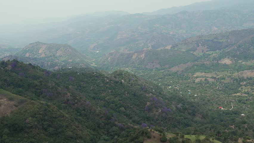 Falcon flying over Cerro Batero mountain rural Quinchía, Risaralda Colombia