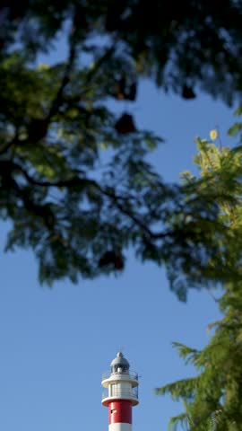 A white and red lighthouse among the treetops. Blue sky. In the small fishing village of El Rompido, Huelva. Beach and relaxation. Sun and golf. Vertical video at 4K at 50fps.
