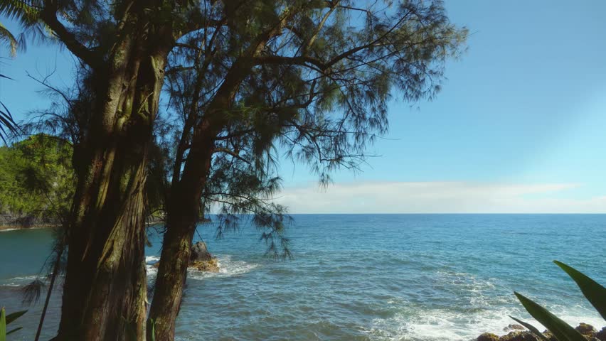 This footage captures the lush rainforest setting, diverse tropical plant species, and stunning panoramic views of the Pacific Ocean and Onomea Bay. Experience the tranquility of this natural sanctuar