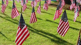 A powerful set of American flags flutter in the wind on a green grass field, honoring Memorial Day, Veterans Day, and 4th of July independence celebrations.

 - Powered by Shutterstock - Get 15% off with code: PIKWIZARD15