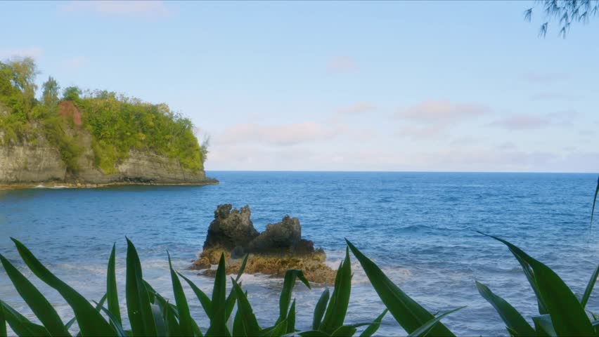 Scenic footage showcasing the stunning coastal beauty of Onomea Bay, as viewed from the Hawaii Tropical Botanical Garden on the Big Island of Hawaii. Features lush tropical foliage, dramatic ocean vie
