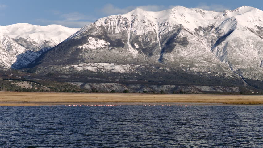 Calm lake surrounded by snow covered mountains with flamingos in evening, Patagonia, Argentina.