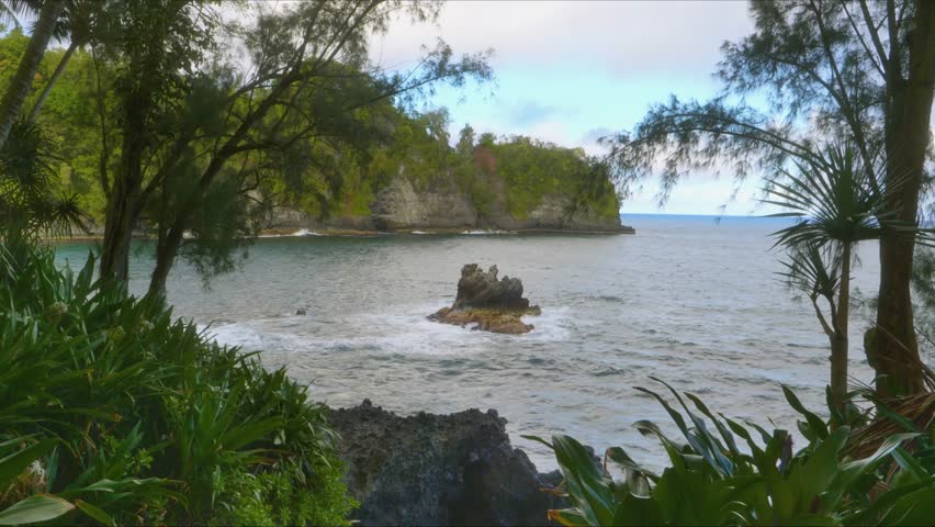picturesque view of Onomea Bay and its iconic Twin Rocks, as seen from the lush, verdant grounds of the Hawaii Tropical Botanical Garden on the Big Island of Hawaii. This footage captures the serene b