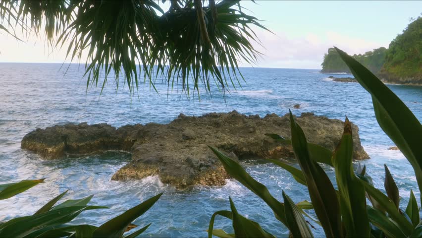 footage showcasing the stunning coastal landscape of the Hawaii Tropical Botanical Garden, featuring rugged ocean rocks, vibrant tropical plants, and the serene blue waters of the Pacific. This natura