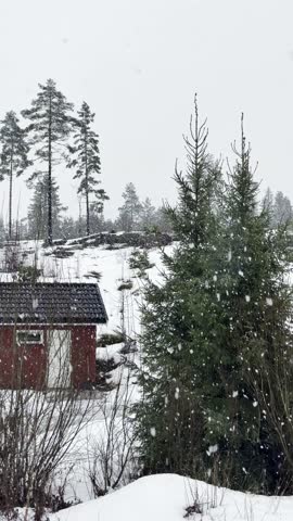 Christmas Xmas winter snowfall snow flakes white cold freezing frosty overcast grey sky red cabin green pine spruce fir evergreen conifer forest trees hillside landscape nature outdoors