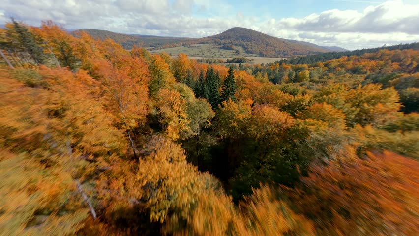 FPV drone flight over colorful autumn forest with green pine trees and orange foliage. Cinematic aerial view of fall mountains and scenic natural landscape.