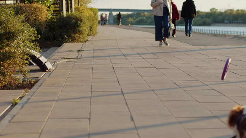 Cavalier King Charles Spaniel running for toy near river on city promenade