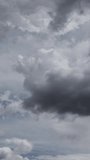 Animated clip of dynamic and professional presentation of various US tax forms, including Form 1040, W-2, W-9, 5498, and 1099-NEC, with prominent 2025 year indicators. The forms elegantly flow, overlap, and rotate across the screen, creating a compelling visual narrative. Ominous storm clouds background highlights the documents, representing trepidation and fear of negative outcomes. This visual effect is perfect for enhancing financial news segments, tax preparation service advertisements, corporate presentations, educational videos on tax regulations, or any content requiring a clean and informative representation of financial documentation for the current tax season. Vertical video format for social media. - Powered by Shutterstock - Get 15% off with code: PIKWIZARD15